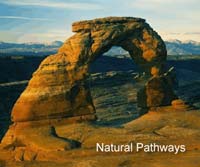 Natural Pathways