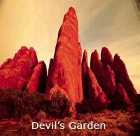 Devil's Garden