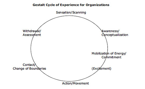 gestalt-cycle-of-experience-for-organizaions-basic
